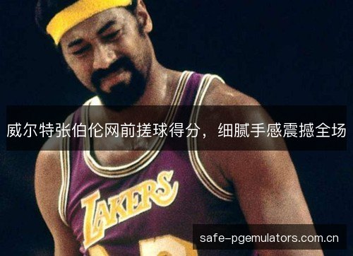 威尔特张伯伦网前搓球得分，细腻手感震撼全场