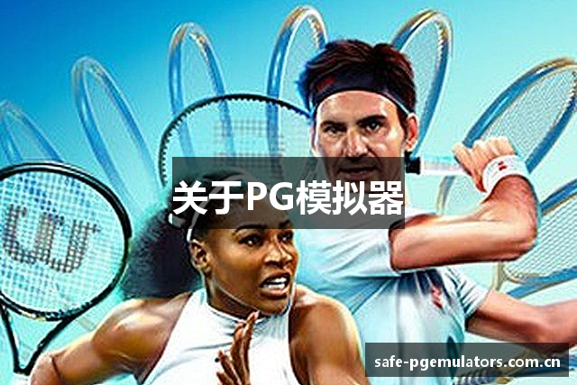 关于PG模拟器